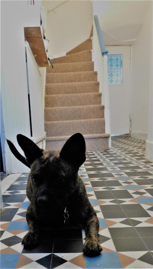 The Bear Bread Bakery B&B, Ensuite Rooms Above The Bakery, Colyton Buitenkant foto